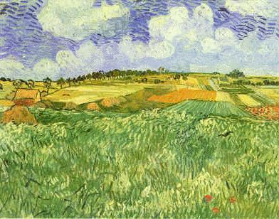 Vincent Van Gogh Plain Near Auvers oil painting image